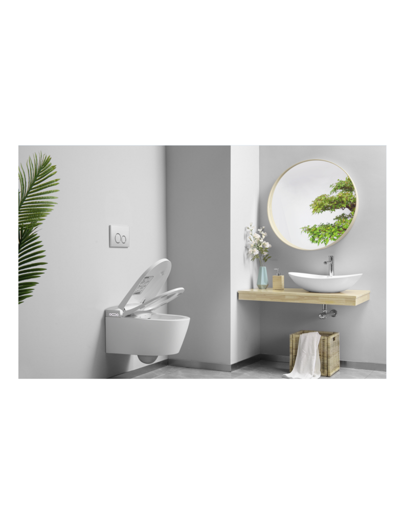 wc suspendu