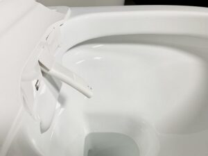 Utiliser un wc japonais en cas d&rsquo;hémorroïdes ?